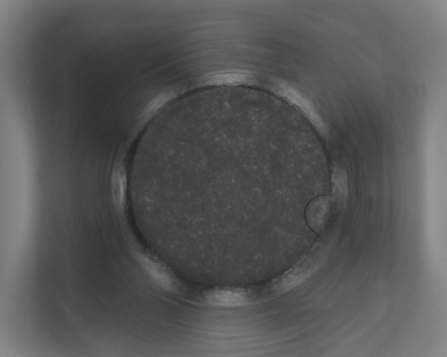 X0000111460110200908101102