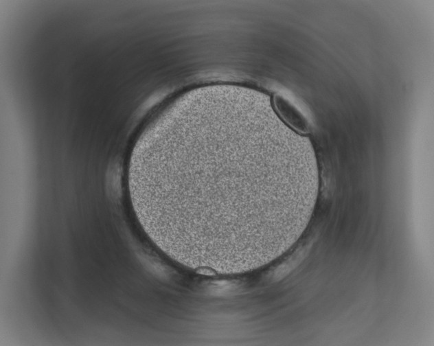 X0000111460111200908101102