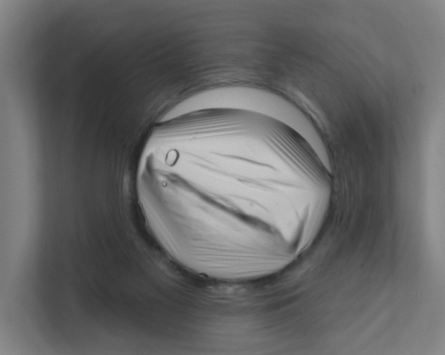 X0000111460117200908101102