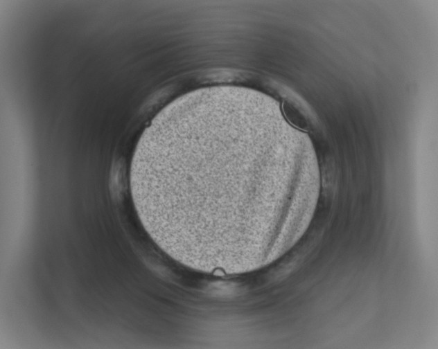 X0000111460119200908101102