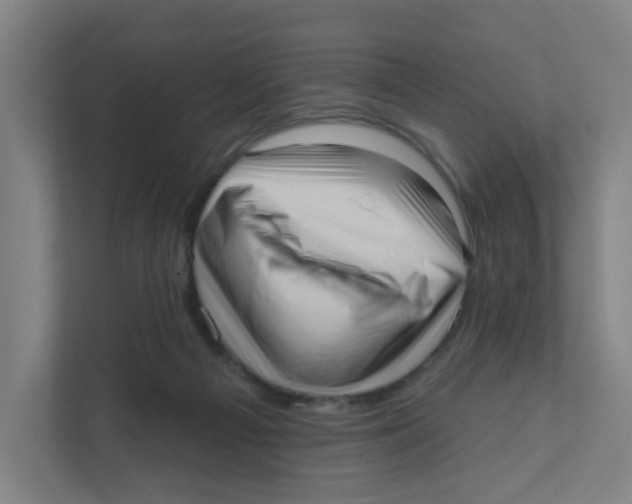 X0000111460121200908101102