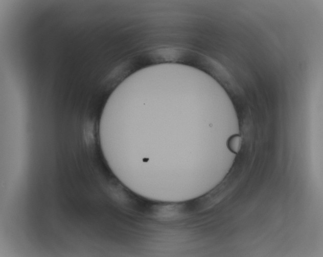 X0000111460122200908101102