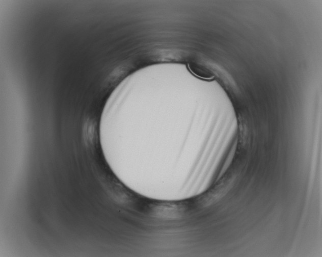 X0000111460123200908101102