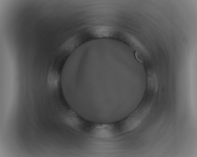 X0000111460125200908101102