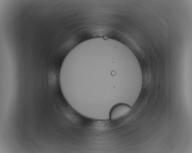 X0000111460126200908101102