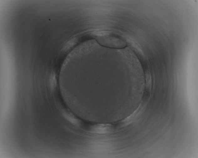 X0000111460128200908101102