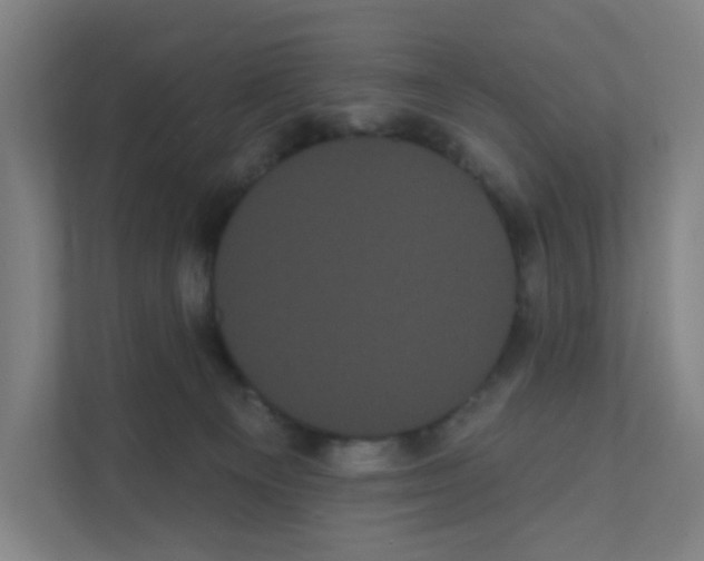X0000111460129200908101102