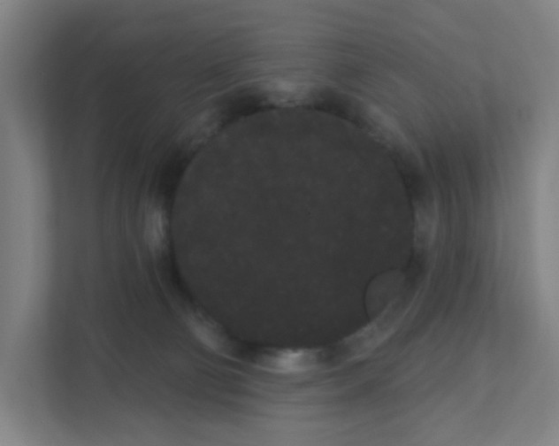 X0000111460130200908101102