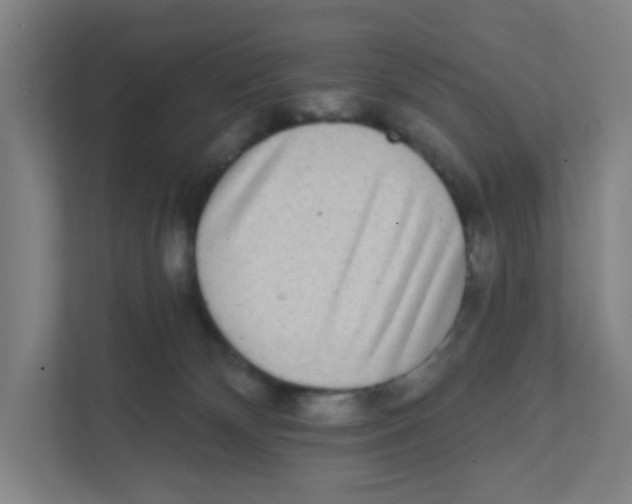 X0000111460132200908101102