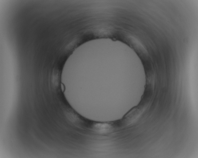 X0000111460133200908101102