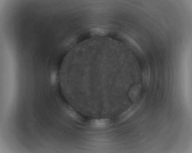 X0000111460134200908101102