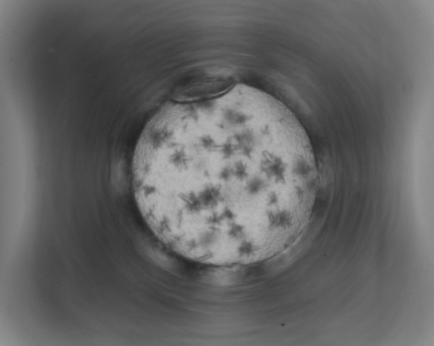 X0000111460136200908101102