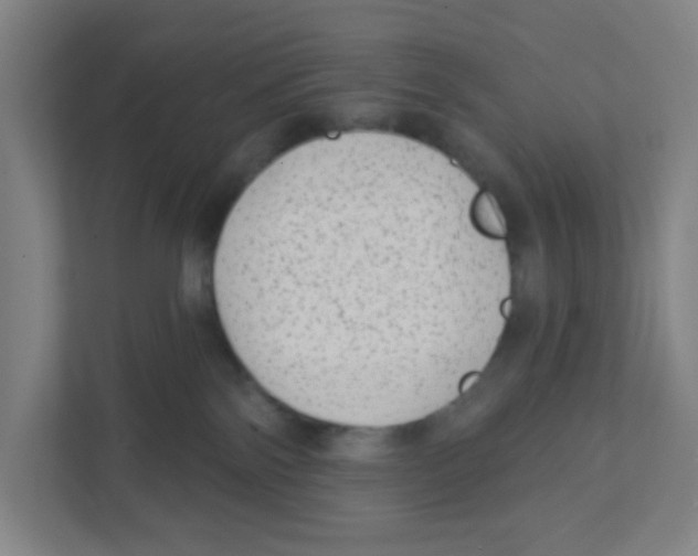 X0000111460138200908101102
