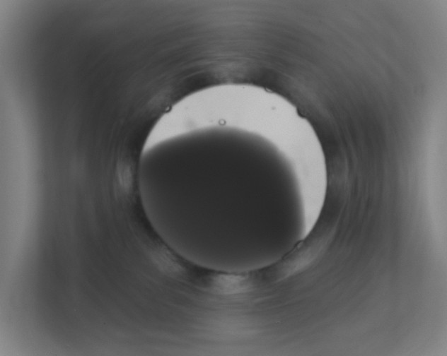 X0000111460139200908101102