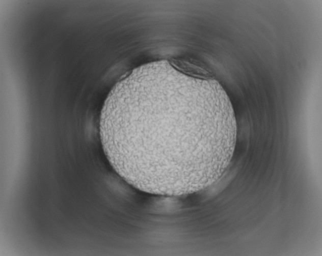 X0000111460140200908101102