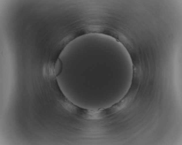 X0000111460143200908101102