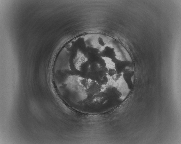 X0000111460145200908101101