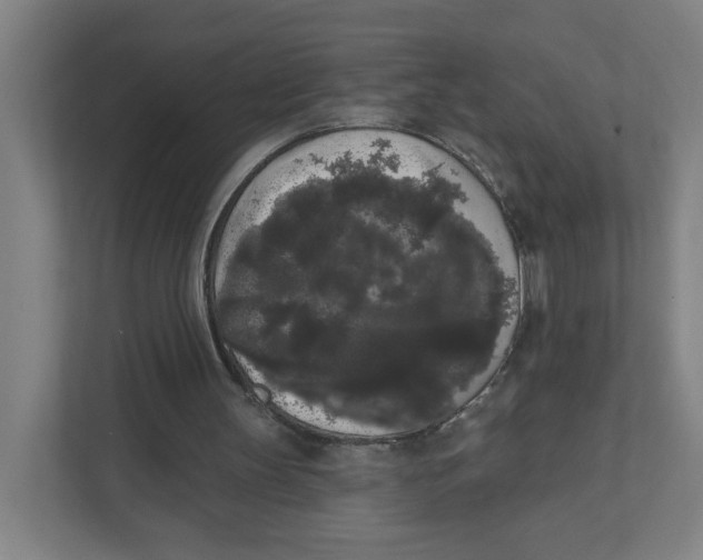 X0000111460147200908101101