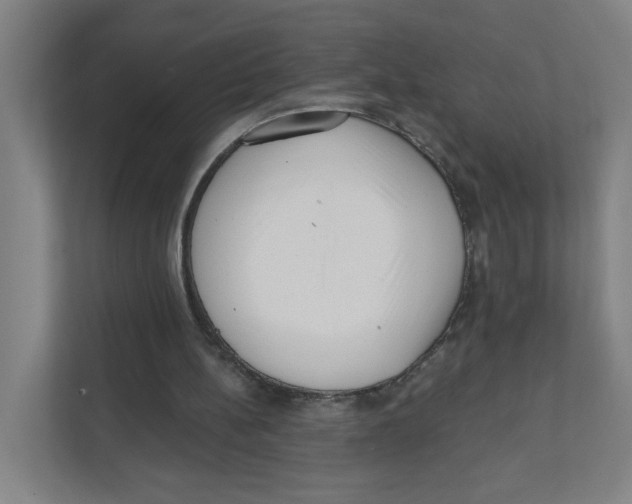 X0000111460148200908101101