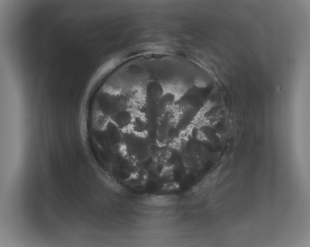 X0000111460149200908101101