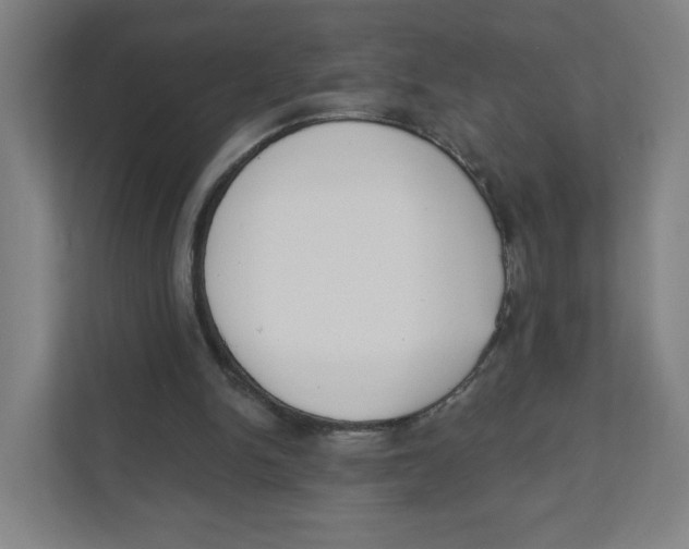 X0000111460150200908101101