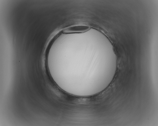 X0000111460152200908101101