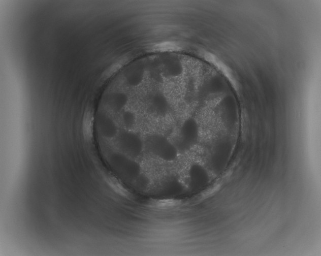 X0000111460153200908101101