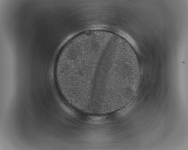 X0000111460155200908101101