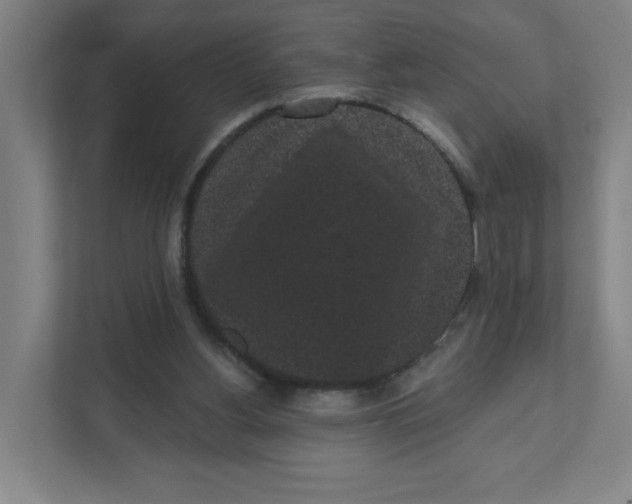 X0000111460156200908101101