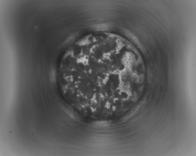X0000111460161200908101101