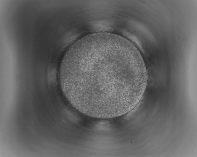 X0000111460162200908101101