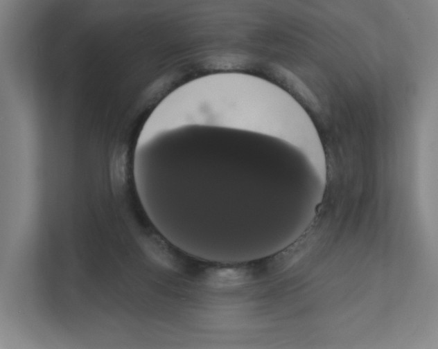 X0000111460163200908101101