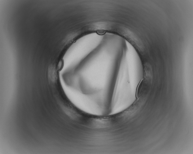 X0000111460164200908101101