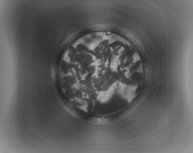 X0000111460165200908101101