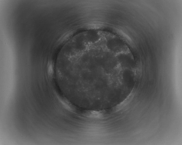 X0000111460166200908101101