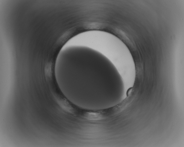 X0000111460167200908101101