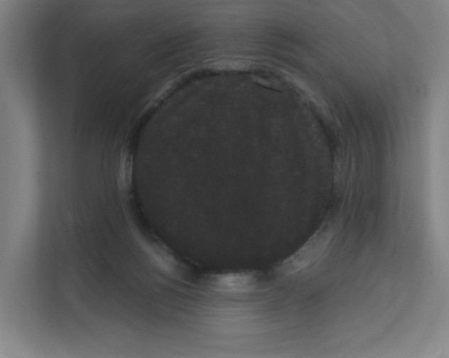 X0000111460168200908101101