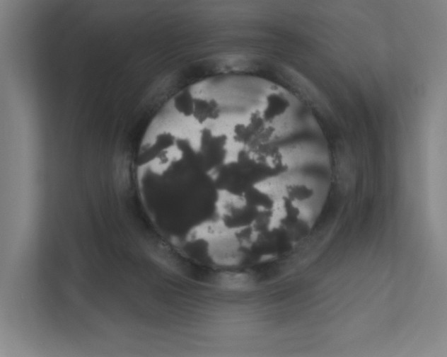 X0000111460169200908101101