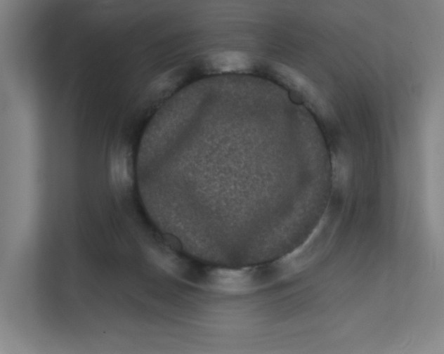 X0000111460170200908101101