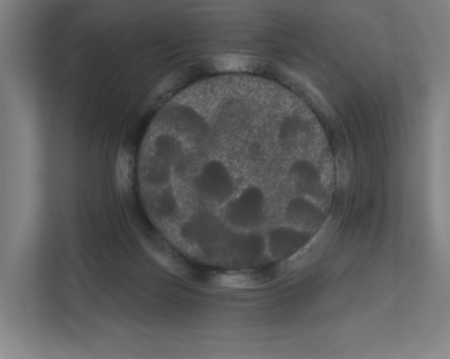 X0000111460171200908101101