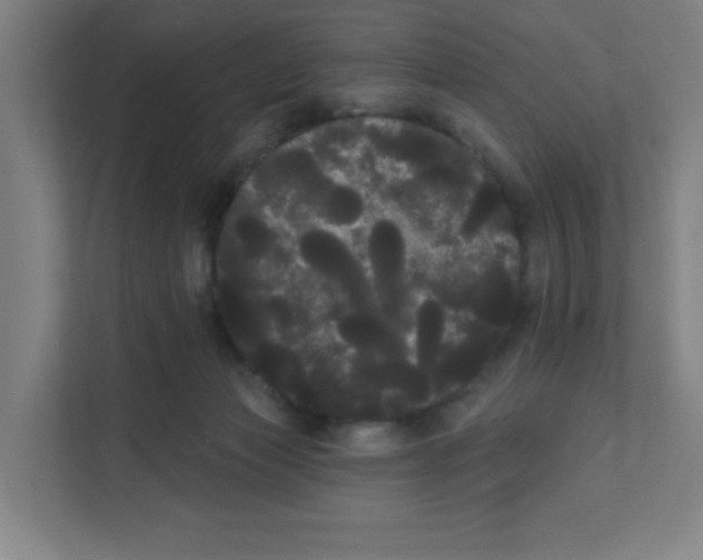 X0000111460173200908101102