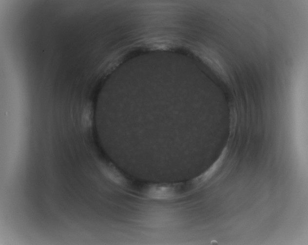 X0000111460174200908101102