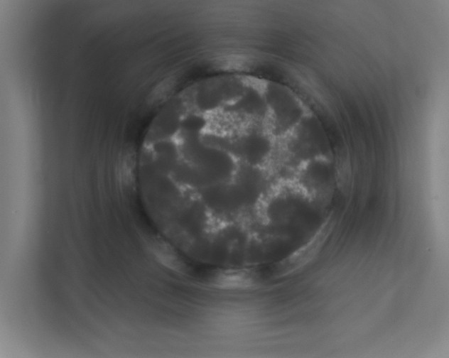 X0000111460175200908101102