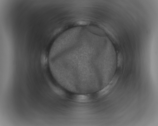 X0000111460176200908101102