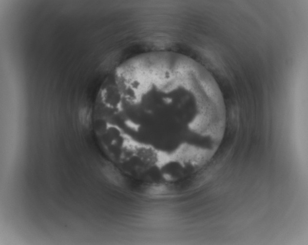 X0000111460177200908101102
