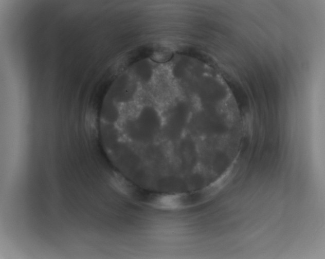 X0000111460178200908101102