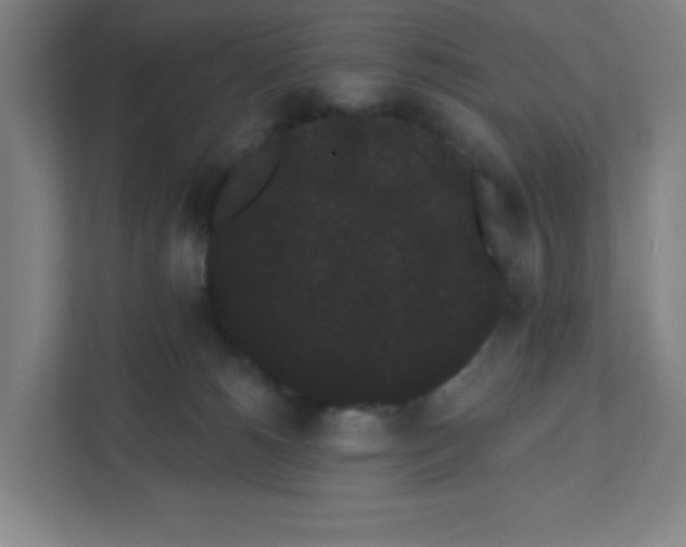 X0000111460180200908101102