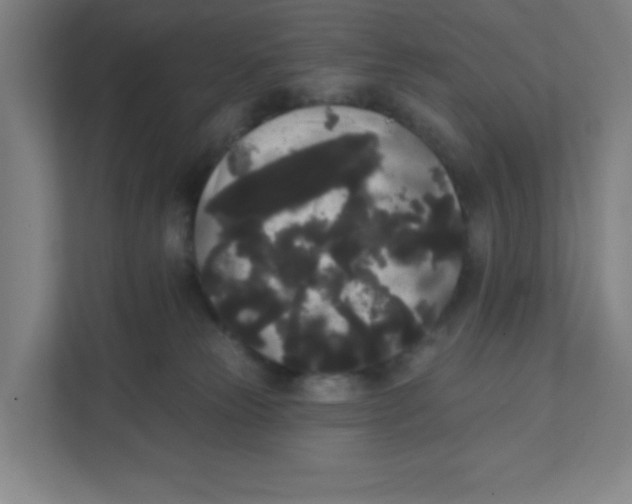 X0000111460181200908101102