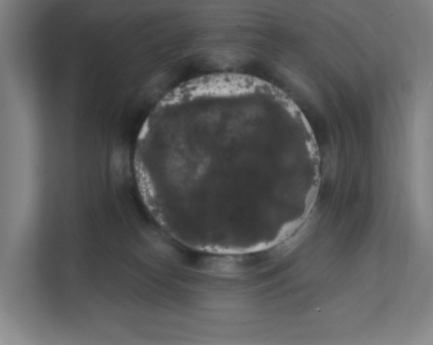 X0000111460182200908101102