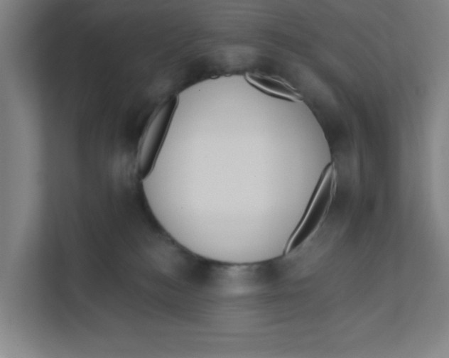 X0000111460184200908101102